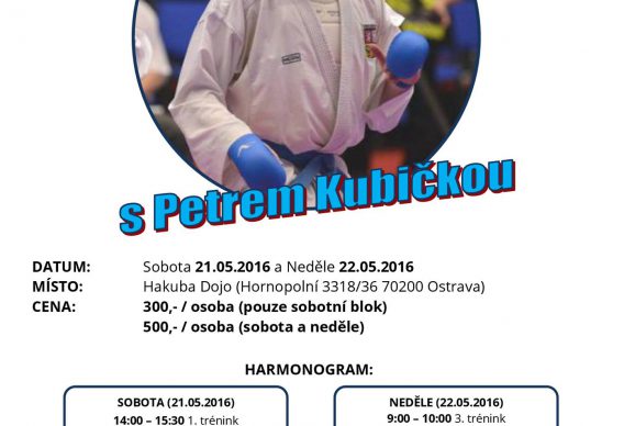 seminar kubicka